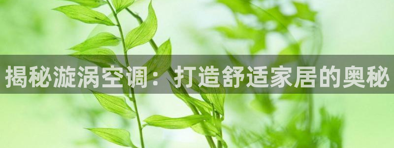 环球360会员