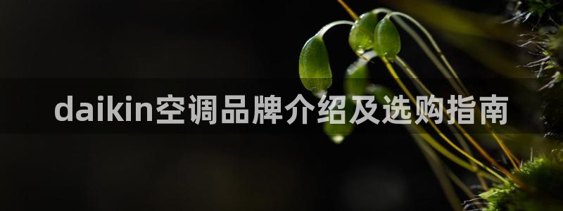 环球360线路检测