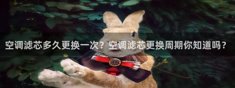 环球360亚洲商务