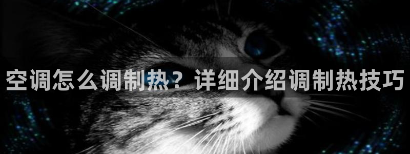 环球360电话