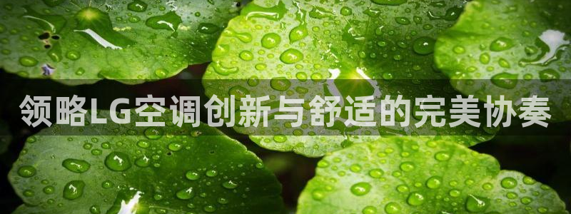 环球360会员登录入口官网