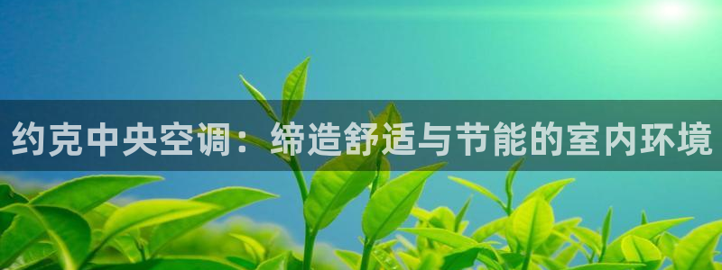 360环球国际