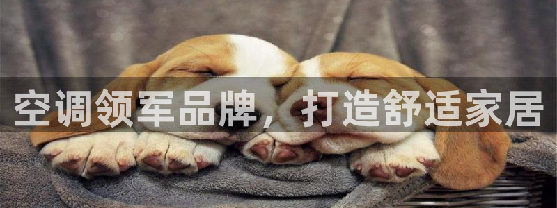 环球360平台一万分多少钱