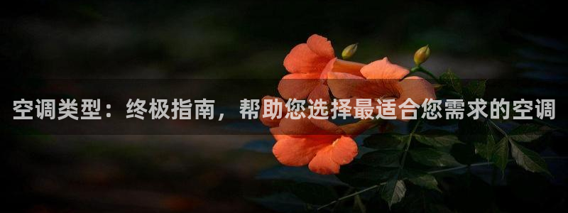 环球360案例