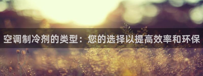 菲律宾环球360代理