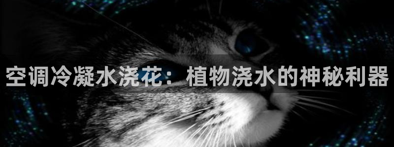 环球360会员登录