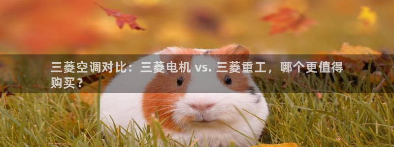 环球360包杀盘