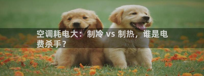 菲律宾环球360注册账号安全吗