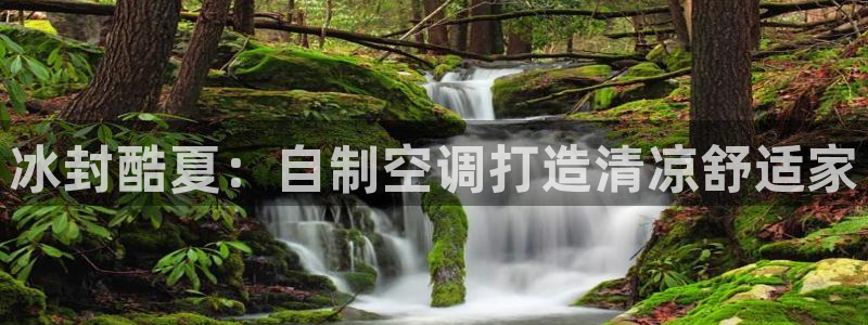 环球360的官网客服在哪里找