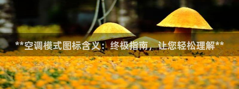 环球360官网首页