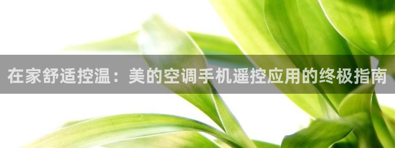 环球360官网手机版下载最新版本