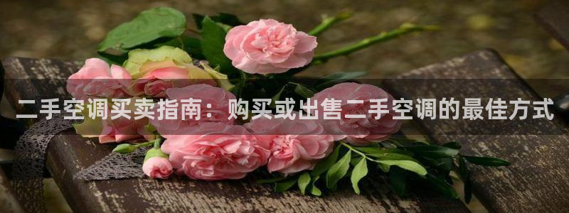 环球360游戏